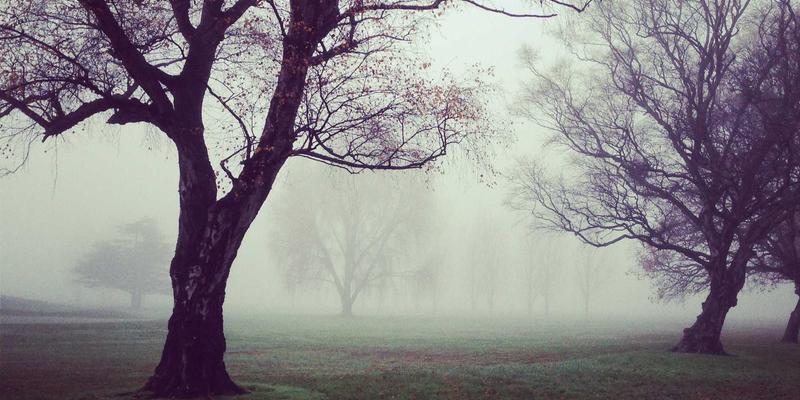 35网98：企业数字化基石，一站式解决企业邮箱、主机托管与SSL证书