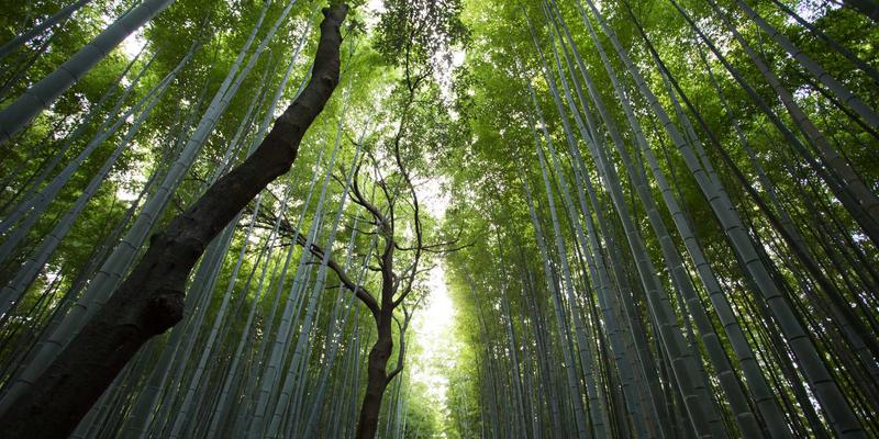 35网API接口管理实战指南：安全高效调用云服务API，赋能虚拟主机与云服务器