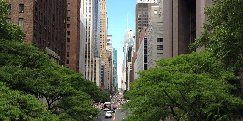 35网CDN加速服务全解析：如何通过专业网络服务提升网站访问速度与企业邮箱效率