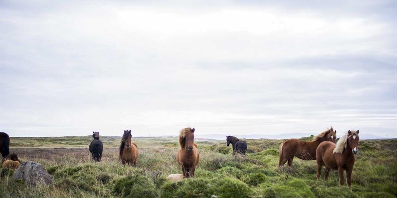 35网云服务器Windows Server系统配置与优化全攻略：为企业级应用与主机托管打造高性能环境