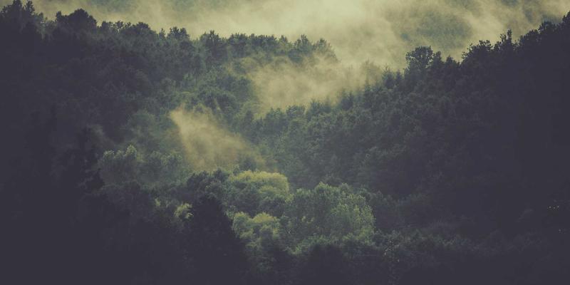 35网核心优势解析:一站式解决域名注册与企业邮箱的专业之选