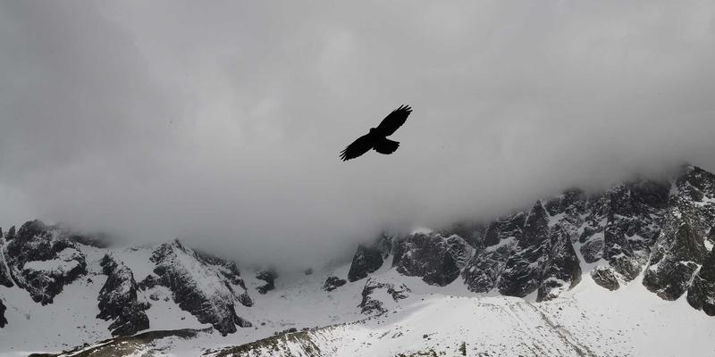 35网网络服务全国覆盖：虚拟主机与云服务器本地化部署指南