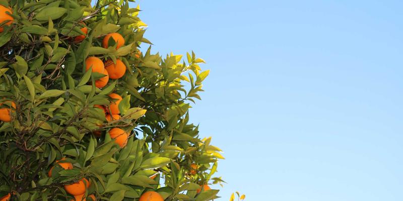 云服务器、主机托管与虚拟主机业务如何借助35网弹性IP实现无缝迁移与秒级故障切换