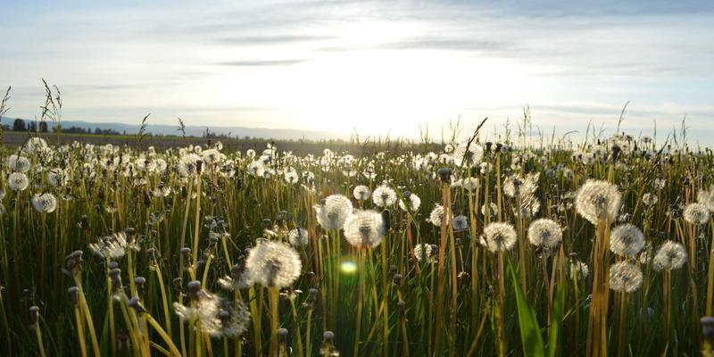 从域名注册到高效协同：深度挖掘35网企业邮箱的邮件归档、海外中继与移动办公核心功能
