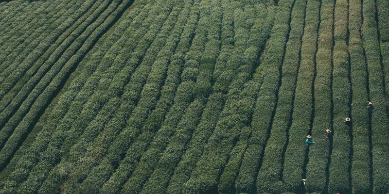 虚拟主机、主机托管与云服务器必做：35网HTTPS强制跳转与HSTS配置，双重保障安全与SEO排名